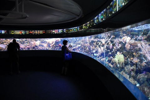 SEA LIFE Sydney Aquarium Entrance Ticket - Hotel Gold Coast 23