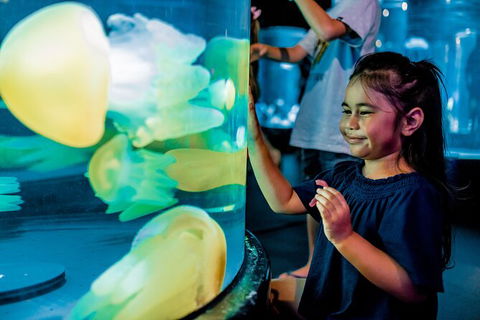 SEA LIFE Sydney Aquarium Entrance Ticket - Hotel Gold Coast 26