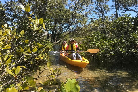 Paddle In Paradise - 4 Hours Double Kayak Hire - Hotel Gold Coast 1