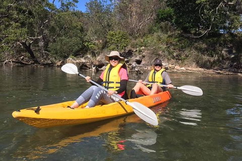 Paddle In Paradise - 4 Hours Double Kayak Hire - Hotel Gold Coast 6