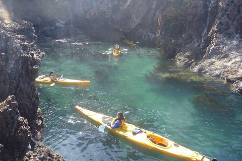 Batemans Bay Full Day Sea Kayak Tour With Beach Picnic Lunch - Hotel Gold Coast 1