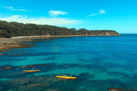 Batemans Bay Full Day Sea Kayak Tour With Beach Picnic Lunch - Hotel Gold Coast 7