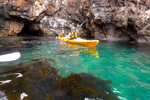 Batemans Bay Full Day Sea Kayak Tour With Beach Picnic Lunch - Hotel Gold Coast 2
