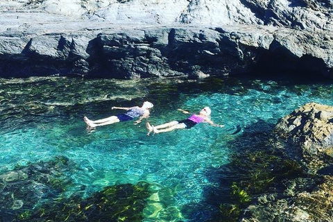 Batemans Bay Full Day Sea Kayak Tour With Beach Picnic Lunch - Hotel Gold Coast 6