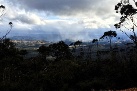 PJ Blue Mountains Trails - Hotel Gold Coast 1