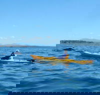 Whale Watching by Sea Kayak in Batemans Bay - Hotel Gold Coast