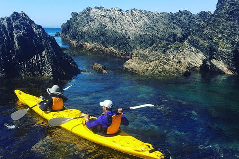Half Day Sea Kayak Tour From Batemans Bay - Hotel Gold Coast 1