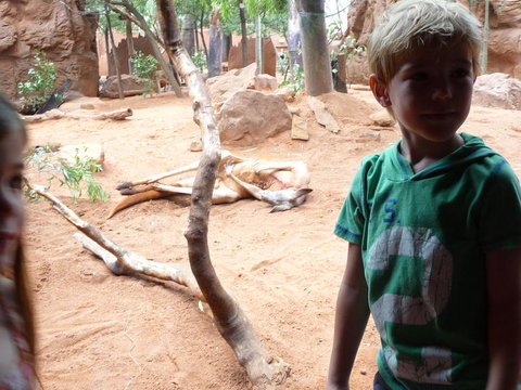 WILD LIFE Sydney Entrance Ticket - Hotel Gold Coast 10