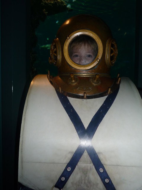 WILD LIFE Sydney Entrance Ticket - Hotel Gold Coast 3