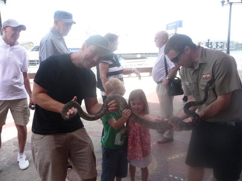 WILD LIFE Sydney Entrance Ticket - Hotel Gold Coast 11