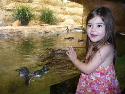 WILD LIFE Sydney Entrance Ticket - Hotel Gold Coast 2