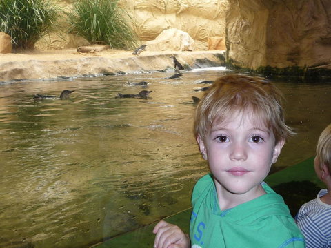 WILD LIFE Sydney Entrance Ticket - Hotel Gold Coast 5