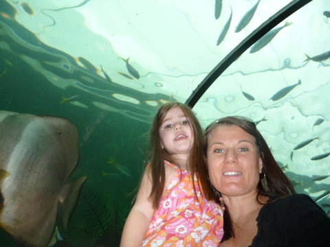 WILD LIFE Sydney Entrance Ticket - Hotel Gold Coast 4