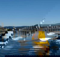 Batemans Bay Oyster Tasting Kayak Tour - Hotel Gold Coast