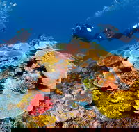 Agincourt Reef - Hotel Gold Coast