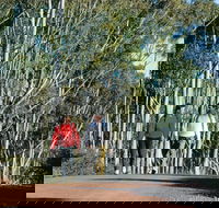 Arthur River - Hotel Gold Coast