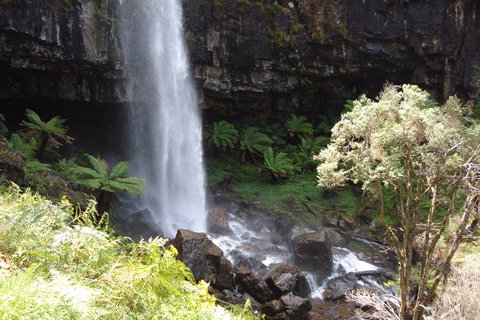 Bindaree Falls - Hotel Gold Coast 1
