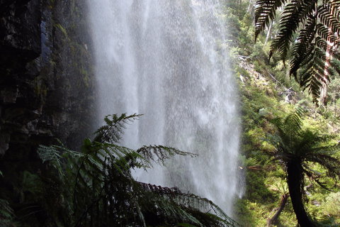Bindaree Falls - Hotel Gold Coast 2