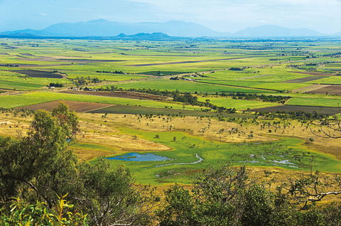 Burdekin - Hotel Gold Coast 1