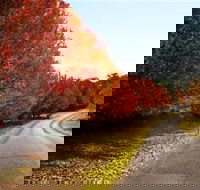 Charles Sturt University Winery - Hotel Gold Coast