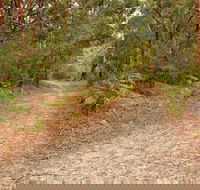 Daleys Point Walking Track - Hotel Gold Coast
