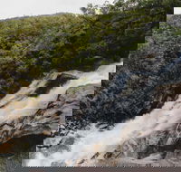Davies Creek National Park and Dinden National Park - Hotel Gold Coast
