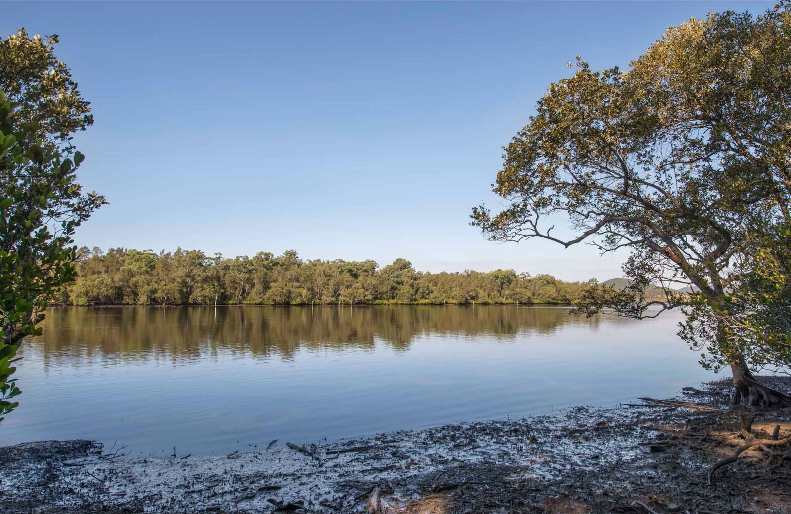Limeburners Creek NSW Hotel Gold Coast
