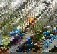 Forest Adventures South West - Hotel Gold Coast