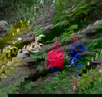 Grand Strzelecki Track