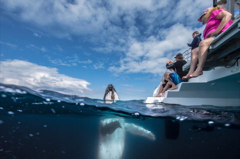 Great Beach Drive - 3 Day Itinerary - Hotel Gold Coast 2