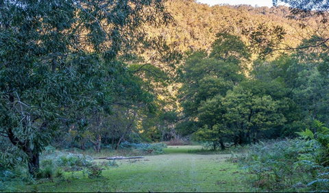 Griffins Walking Track - Hotel Gold Coast 0