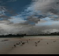 Hardwicke Bay - Hotel Gold Coast