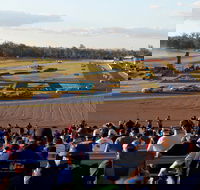 Ipswich Motorsport Precinct - Hotel Gold Coast