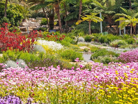 Jurassic Garden AR Experience - Hotel Gold Coast 0