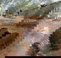 Kingsford Smith Mail Run - Hotel Gold Coast