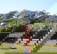 Maryboroughs Bollards - Hotel Gold Coast