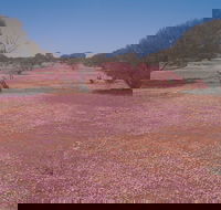 Meekatharra - Hotel Gold Coast
