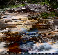 Mothar Mountain Rockpools - Hotel Gold Coast