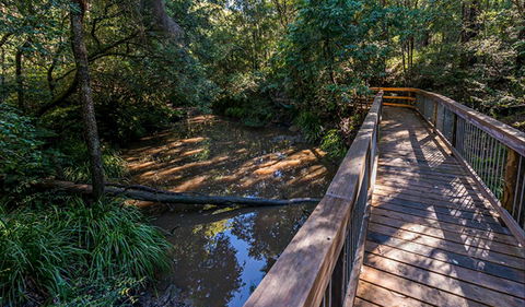 Ms Kellys Walking Track - Hotel Gold Coast 0