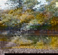 Mungabareena and Water Works - Hotel Gold Coast