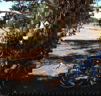 Murchison Rail Trail - Hotel Gold Coast