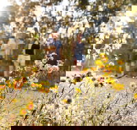 Nail Can Hill - Hotel Gold Coast