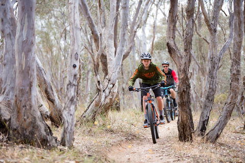 Nail Can Hill - Hotel Gold Coast 1