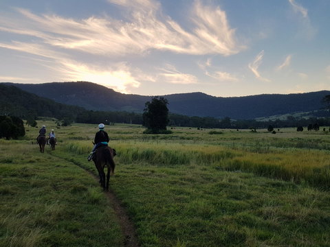 Numinbah Valley Adventure  Camping - Hotel Gold Coast 0