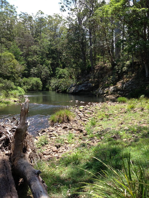 Numinbah Valley Adventure  Camping - Hotel Gold Coast 1
