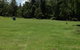 Numinbah Valley Adventure  Camping - thumb 2