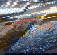 Oasis Regional Aquatic Centre - Hotel Gold Coast