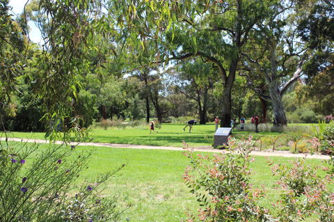 Parkville Heritage Walks - Hotel Gold Coast 2