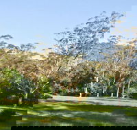 Red Cedar Flat Picnic Area - Hotel Gold Coast