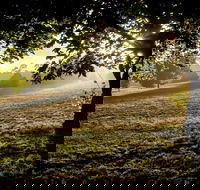 Ruffey Lake Park - Hotel Gold Coast